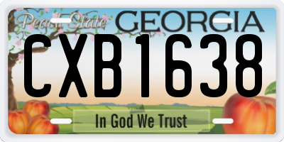 GA license plate CXB1638