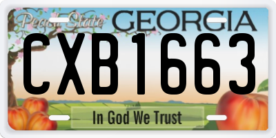 GA license plate CXB1663