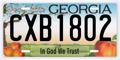 GA license plate CXB1802