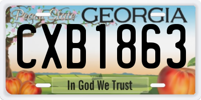 GA license plate CXB1863