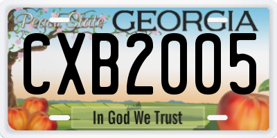 GA license plate CXB2005