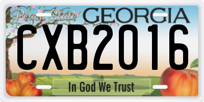 GA license plate CXB2016