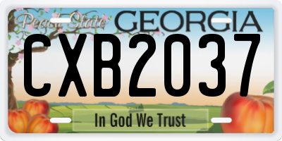 GA license plate CXB2037