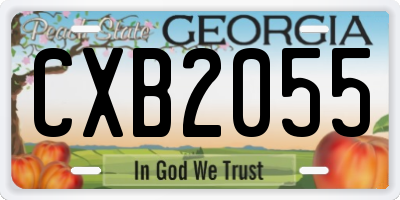 GA license plate CXB2055