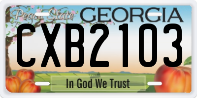 GA license plate CXB2103