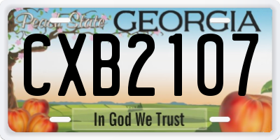 GA license plate CXB2107