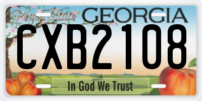 GA license plate CXB2108