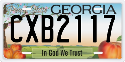 GA license plate CXB2117