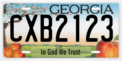 GA license plate CXB2123