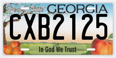 GA license plate CXB2125