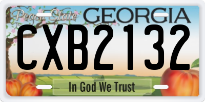 GA license plate CXB2132