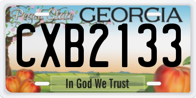 GA license plate CXB2133