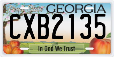 GA license plate CXB2135