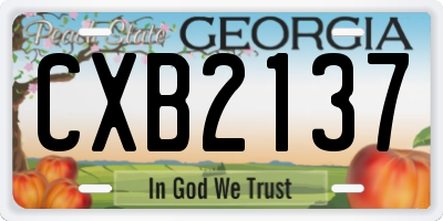 GA license plate CXB2137