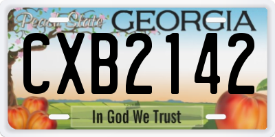 GA license plate CXB2142