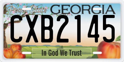 GA license plate CXB2145
