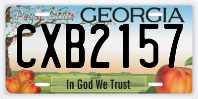 GA license plate CXB2157