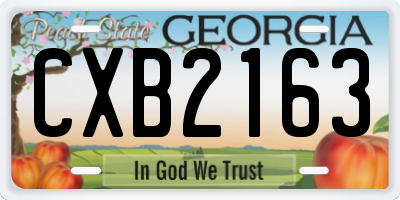 GA license plate CXB2163