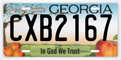 GA license plate CXB2167