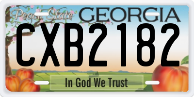GA license plate CXB2182