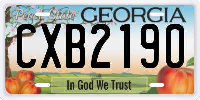 GA license plate CXB2190
