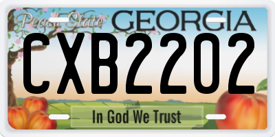 GA license plate CXB2202
