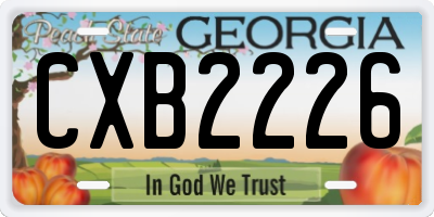 GA license plate CXB2226