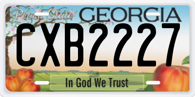 GA license plate CXB2227
