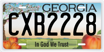 GA license plate CXB2228