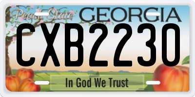 GA license plate CXB2230