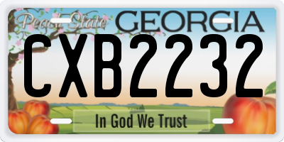GA license plate CXB2232