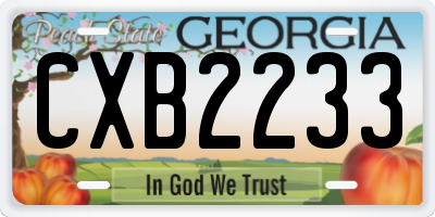 GA license plate CXB2233