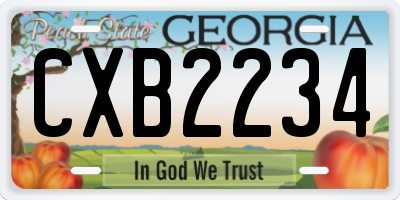 GA license plate CXB2234