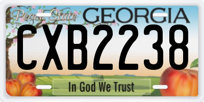 GA license plate CXB2238