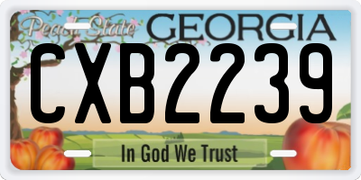 GA license plate CXB2239