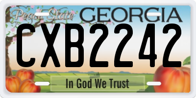 GA license plate CXB2242