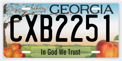 GA license plate CXB2251