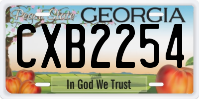GA license plate CXB2254