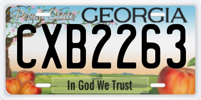 GA license plate CXB2263