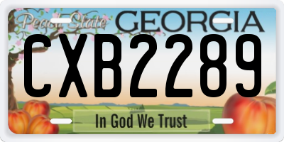 GA license plate CXB2289