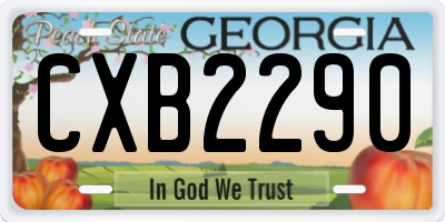 GA license plate CXB2290