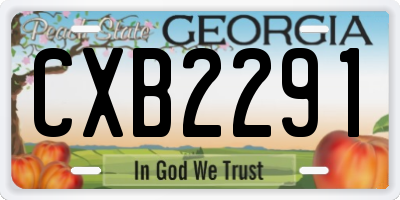GA license plate CXB2291