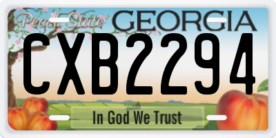 GA license plate CXB2294