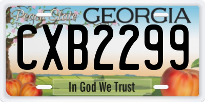 GA license plate CXB2299