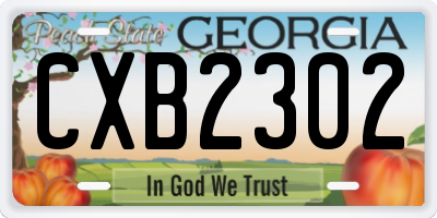 GA license plate CXB2302