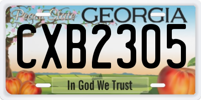 GA license plate CXB2305
