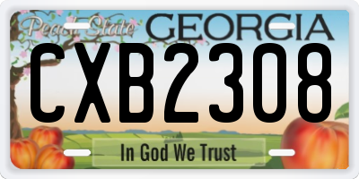 GA license plate CXB2308