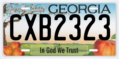 GA license plate CXB2323