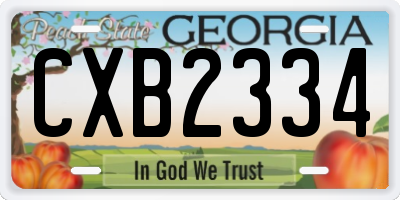 GA license plate CXB2334