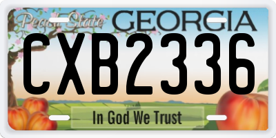 GA license plate CXB2336